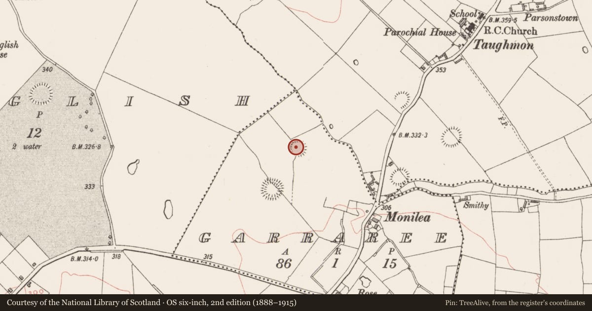 Ordnance Survey six-inch map, 2nd edition (1888–1915) covering the location of Ringfort - rath, Garraree, County Westmeath, with a pin at the register's coordinates