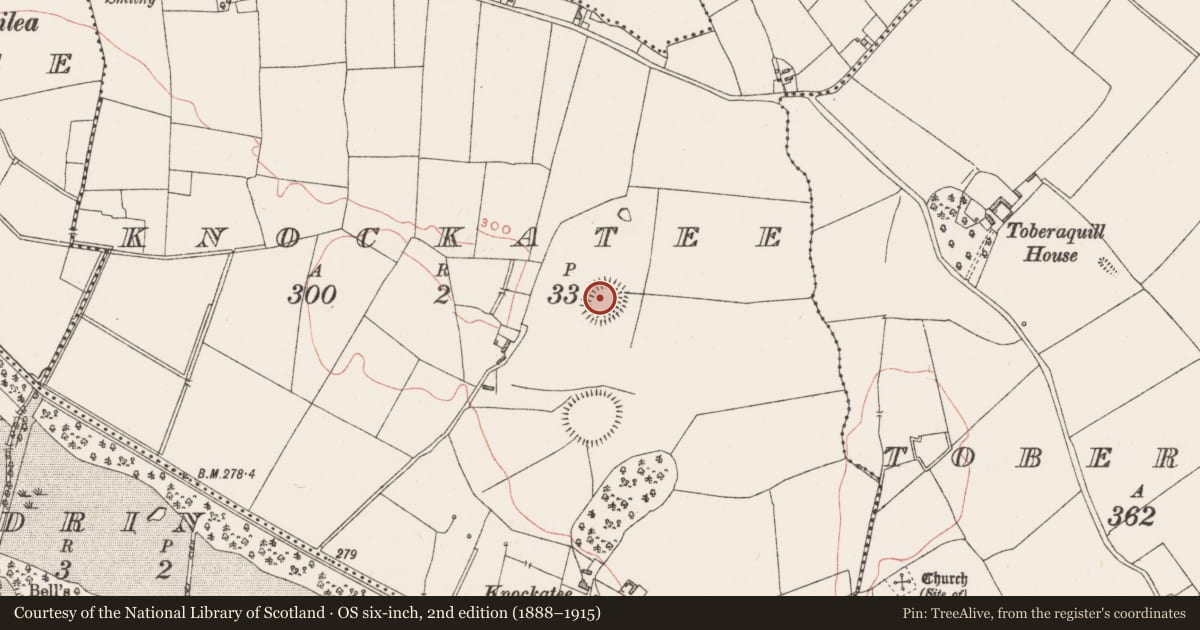 Ordnance Survey six-inch map, 2nd edition (1888–1915) covering the location of Ringfort - rath, Knockatee, County Westmeath, with a pin at the register's coordinates
