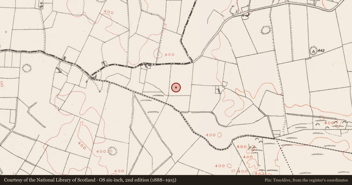 Ordnance Survey six-inch map, 2nd edition (1888–1915) covering the location of Ringfort - unclassified, Balreagh, County Westmeath, with a pin at the register's coordinates