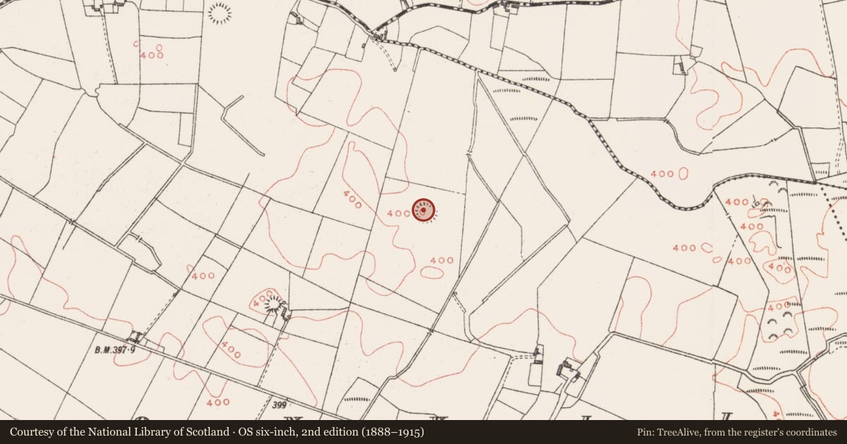 Ordnance Survey six-inch map, 2nd edition (1888–1915) covering the location of Ringfort - rath, Clonkill, County Westmeath, with a pin at the register's coordinates