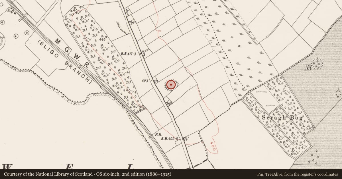 Ordnance Survey six-inch map, 2nd edition (1888–1915) covering the location of Ringfort - rath, Portnashangan, County Westmeath, with a pin at the register's coordinates