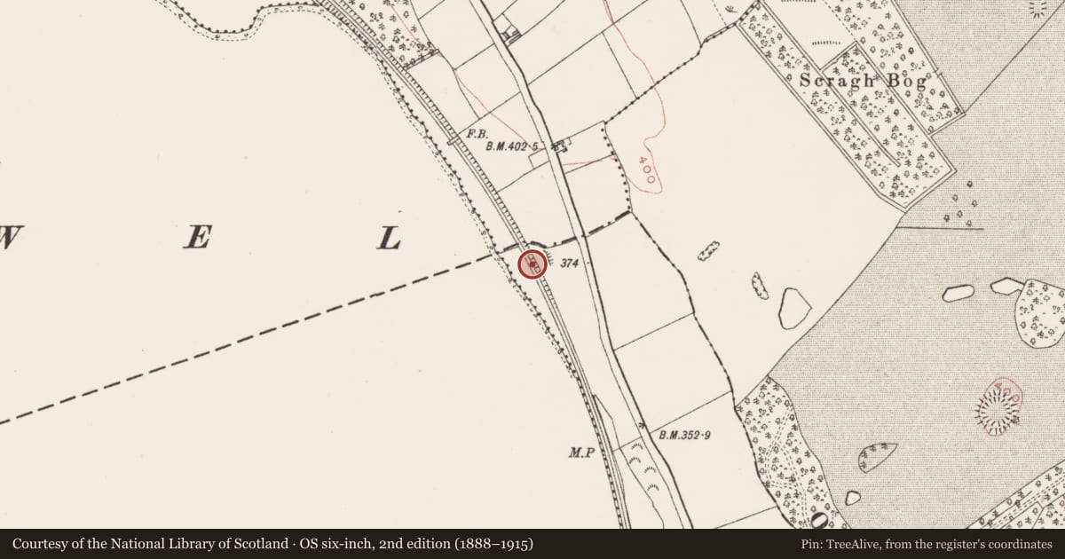 Ordnance Survey six-inch map, 2nd edition (1888–1915) covering the location of Ringfort - rath, Culleen More, County Westmeath, with a pin at the register's coordinates