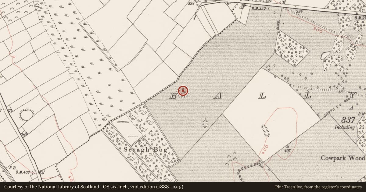Ordnance Survey six-inch map, 2nd edition (1888–1915) covering the location of Ringfort - rath, Ballynagall, County Westmeath, with a pin at the register's coordinates