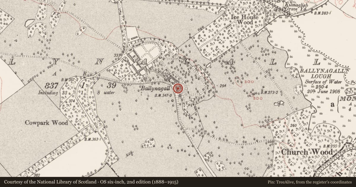 Ordnance Survey six-inch map, 2nd edition (1888–1915) covering the location of Castle - unclassified, Ballynagall, County Westmeath, with a pin at the register's coordinates