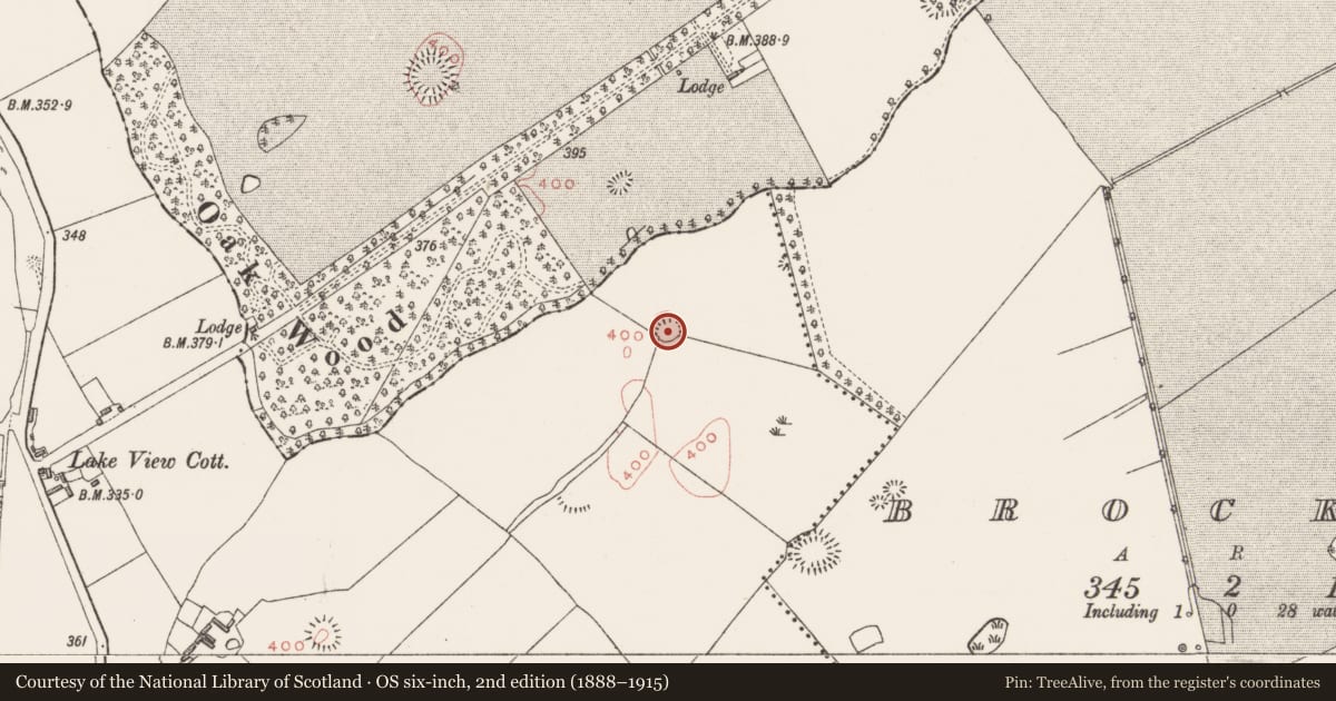Ordnance Survey six-inch map, 2nd edition (1888–1915) covering the location of Ringfort - rath, Culleen More, County Westmeath, with a pin at the register's coordinates