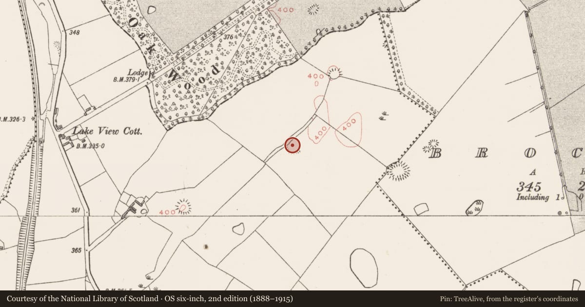 Ordnance Survey six-inch map, 2nd edition (1888–1915) covering the location of Ringfort - unclassified, Culleen More, County Westmeath, with a pin at the register's coordinates
