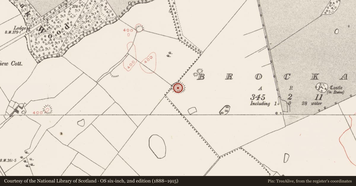 Ordnance Survey six-inch map, 2nd edition (1888–1915) covering the location of Ringfort - rath, Brockagh, County Westmeath, with a pin at the register's coordinates