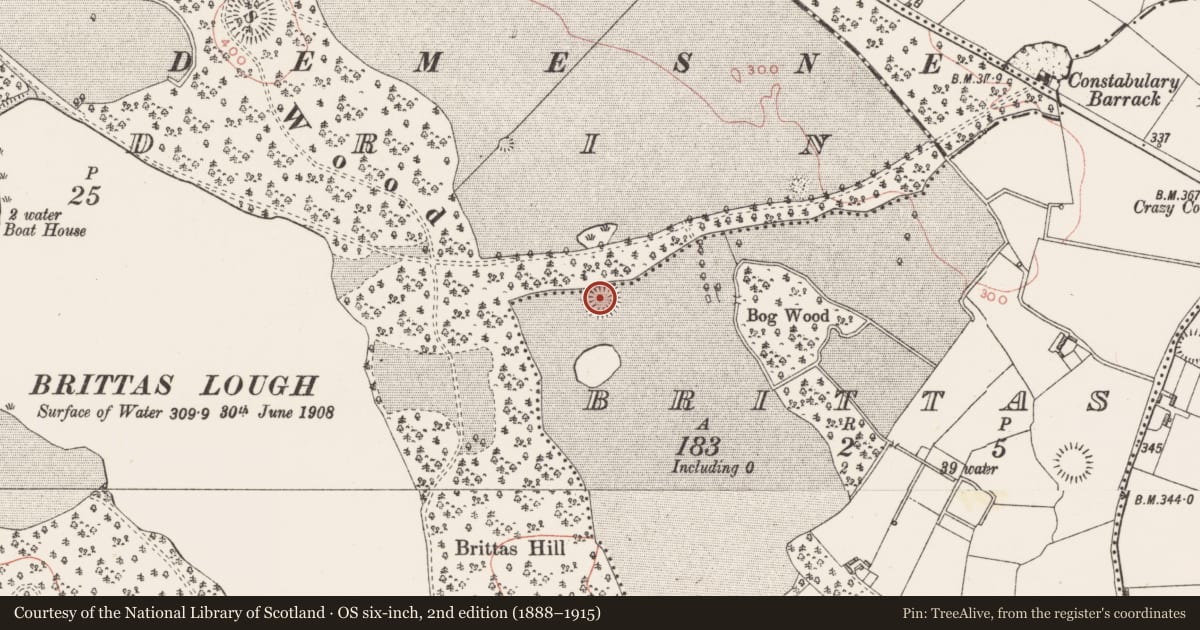 Ordnance Survey six-inch map, 2nd edition (1888–1915) covering the location of Ringfort - rath, Brittas, County Westmeath, with a pin at the register's coordinates
