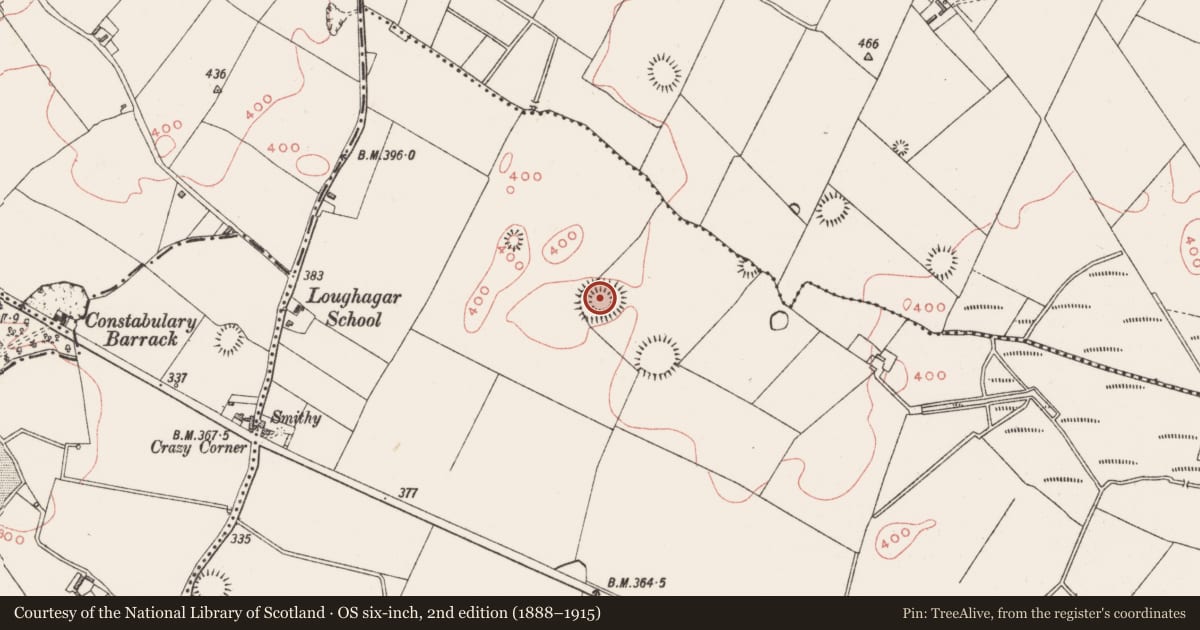 Ordnance Survey six-inch map, 2nd edition (1888–1915) covering the location of Concentric enclosure, Loughagar More, County Westmeath, with a pin at the register's coordinates