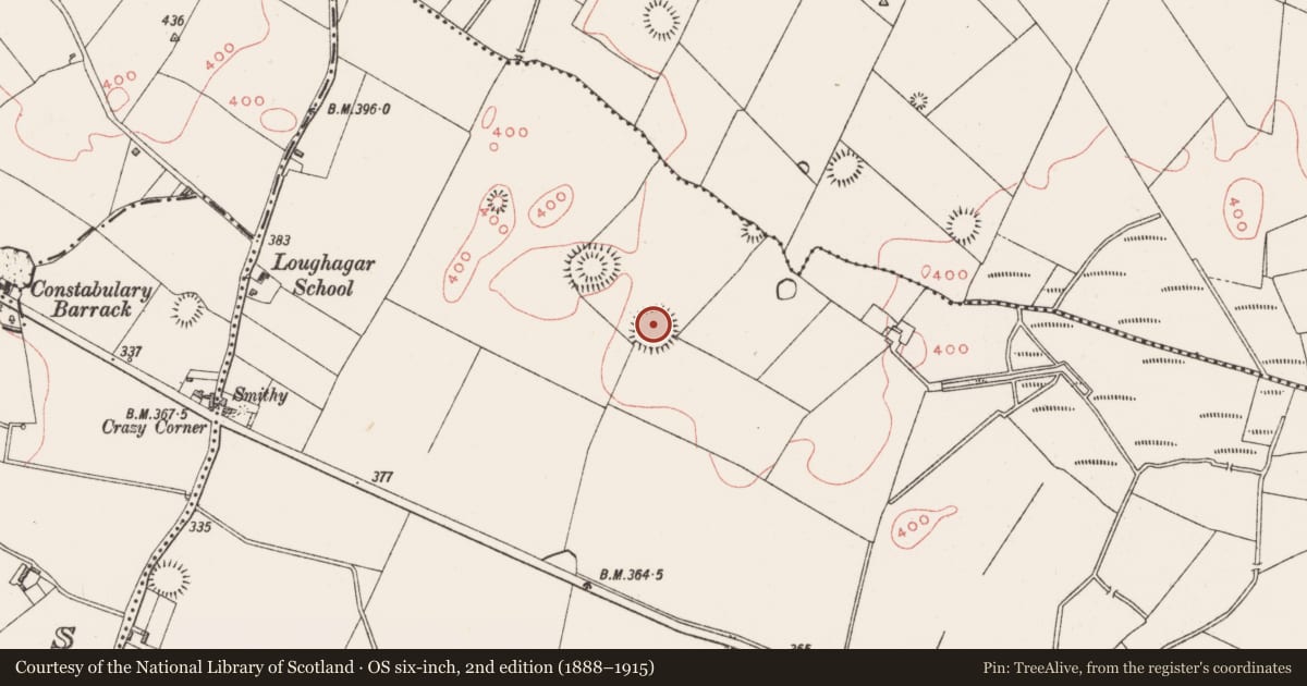 Ordnance Survey six-inch map, 2nd edition (1888–1915) covering the location of Ringfort - rath, Loughagar More, County Westmeath, with a pin at the register's coordinates