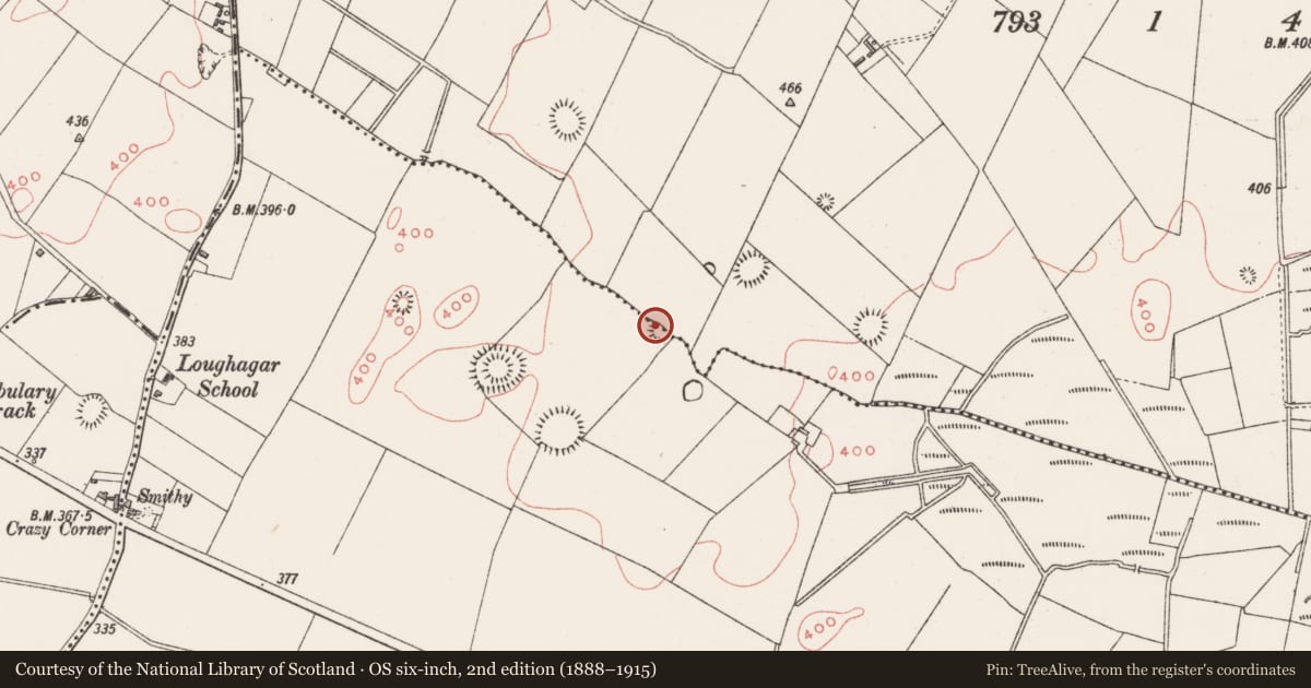 Ordnance Survey six-inch map, 2nd edition (1888–1915) covering the location of Barrow - ring-barrow, Loughagar More, County Westmeath, with a pin at the register's coordinates