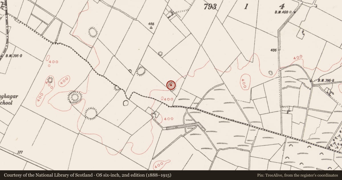 Ordnance Survey six-inch map, 2nd edition (1888–1915) covering the location of Ringfort - rath, Clonkill, County Westmeath, with a pin at the register's coordinates