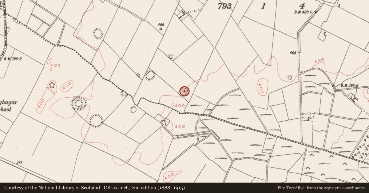 Ordnance Survey six-inch map, 2nd edition (1888–1915) covering the location of Hut site, Clonkill, County Westmeath, with a pin at the register's coordinates