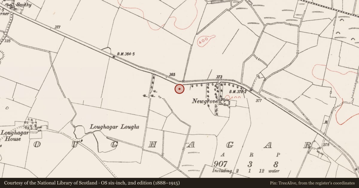 Ordnance Survey six-inch map, 2nd edition (1888–1915) covering the location of Field system, Loughagar More, County Westmeath, with a pin at the register's coordinates