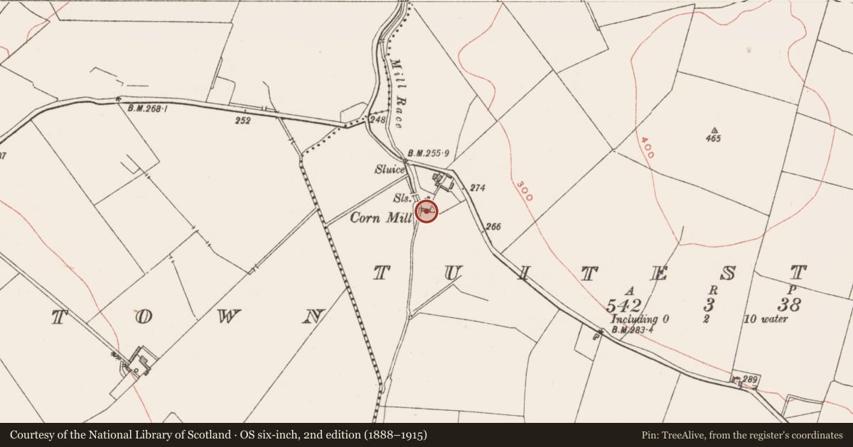 Ordnance Survey six-inch map, 2nd edition (1888–1915) covering the location of Mill - unclassified, Tuitestown, County Westmeath, with a pin at the register's coordinates