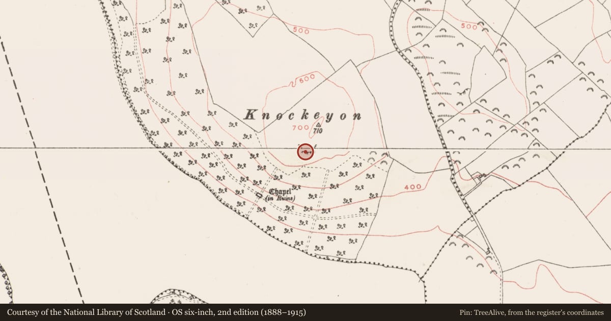 Ordnance Survey six-inch map, 2nd edition (1888–1915) covering the location of Quarry, Streamstown, County Westmeath, with a pin at the register's coordinates