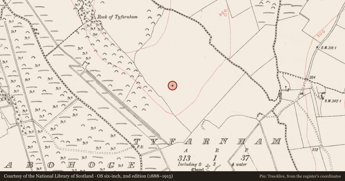 Ordnance Survey six-inch map, 2nd edition (1888–1915) covering the location of Standing stone, Tyfarnham, County Westmeath, with a pin at the register's coordinates
