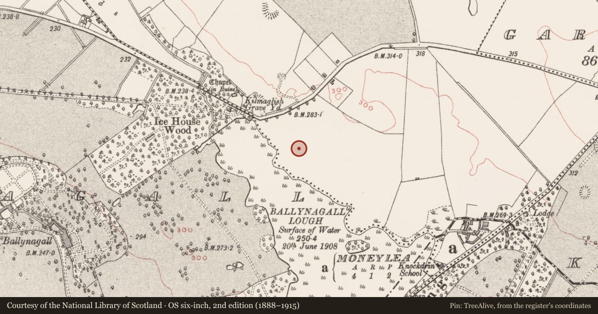 Ordnance Survey six-inch map, 2nd edition (1888–1915) covering the location of Ringfort - unclassified, Kilmaglish, County Westmeath, with a pin at the register's coordinates