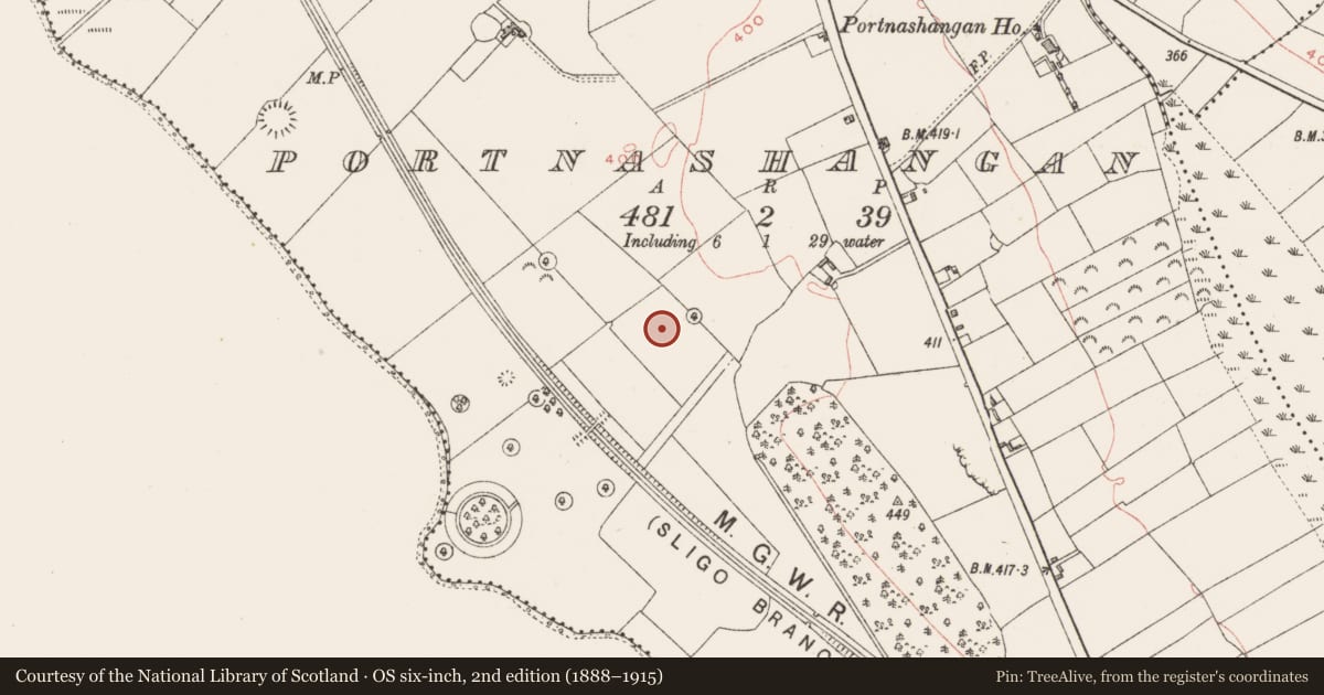 Ordnance Survey six-inch map, 2nd edition (1888–1915) covering the location of Enclosure, Portnashangan, County Westmeath, with a pin at the register's coordinates