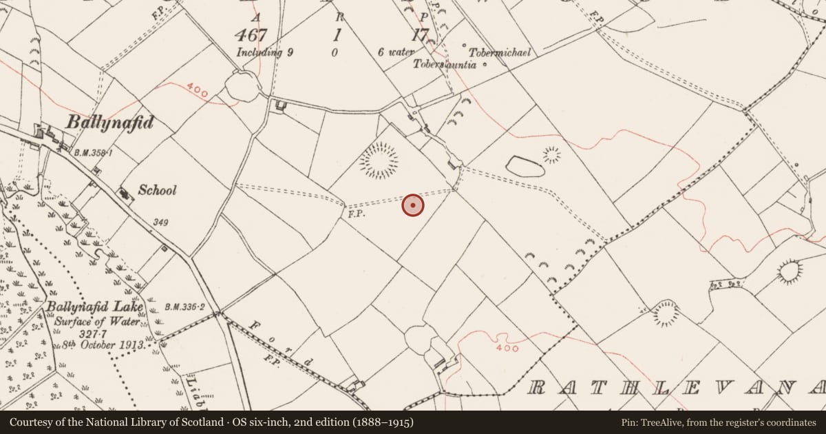 Ordnance Survey six-inch map, 2nd edition (1888–1915) covering the location of Barrow - ditch barrow, Knightswood, County Westmeath, with a pin at the register's coordinates