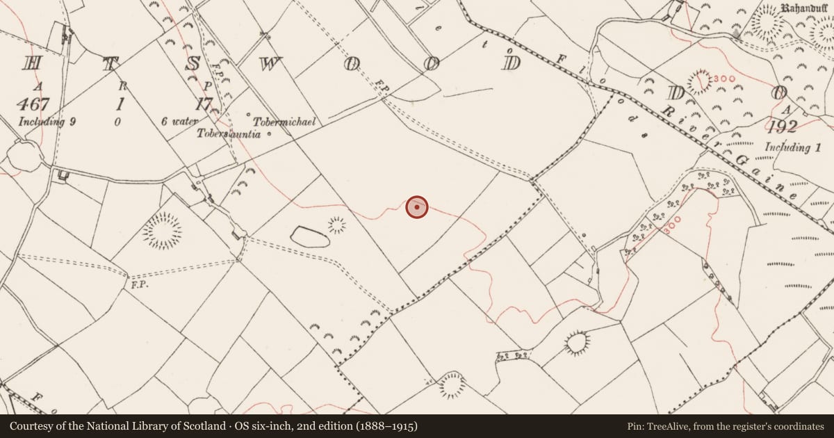 Ordnance Survey six-inch map, 2nd edition (1888–1915) covering the location of Barrow - ring-barrow, Knightswood, County Westmeath, with a pin at the register's coordinates