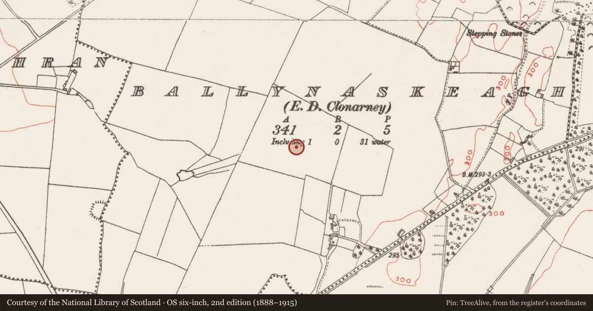 Ordnance Survey six-inch map, 2nd edition (1888–1915) covering the location of Ringfort - rath, Ballynaskeagh, County Westmeath, with a pin at the register's coordinates