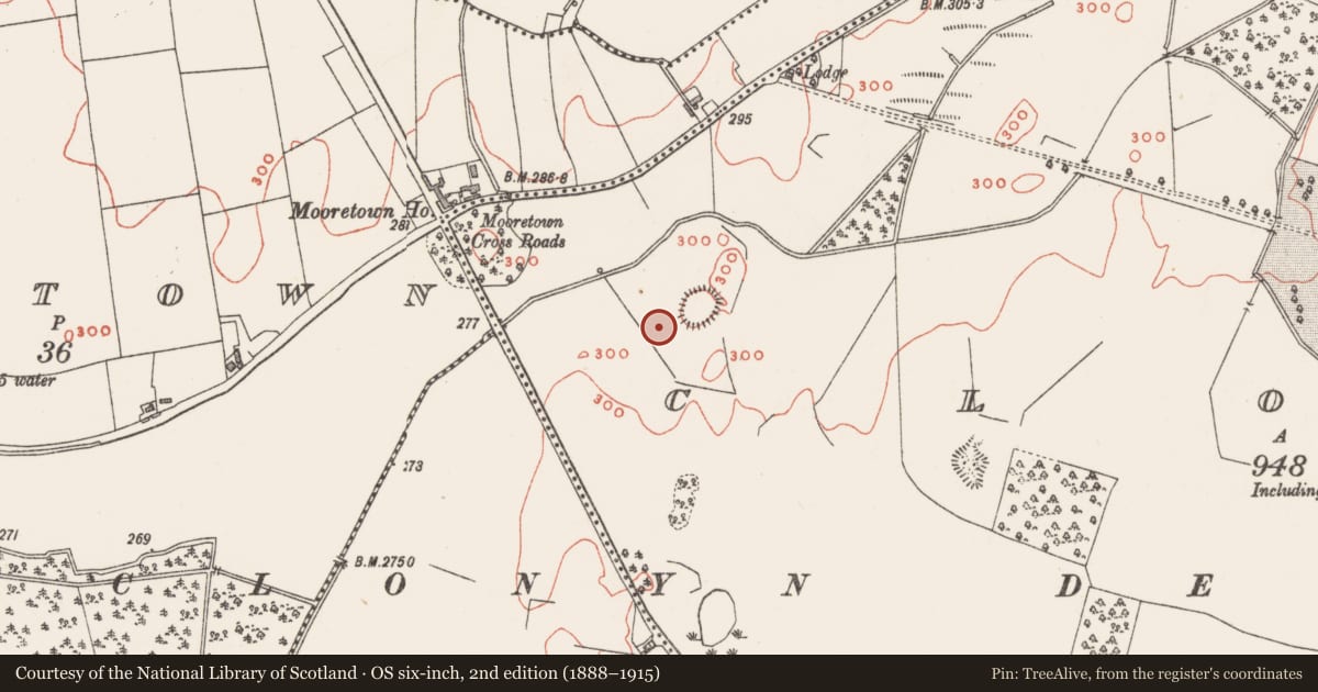 Ordnance Survey six-inch map, 2nd edition (1888–1915) covering the location of Ringfort - rath, Clonyn, County Westmeath, with a pin at the register's coordinates