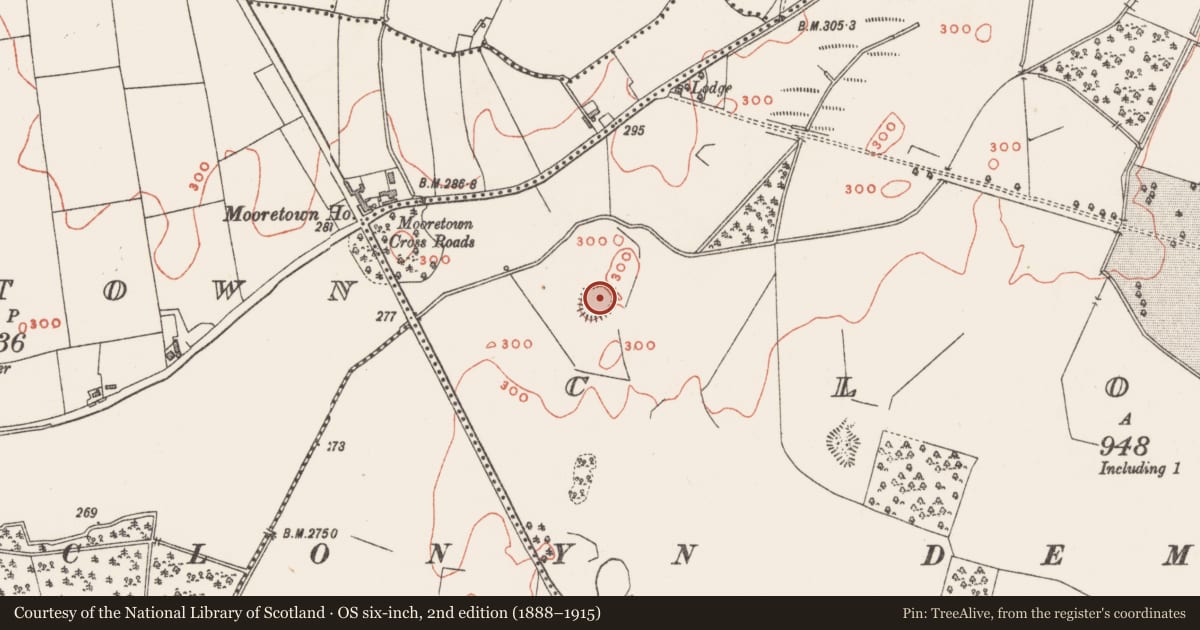 Ordnance Survey six-inch map, 2nd edition (1888–1915) covering the location of Ringfort - rath, Clonyn, County Westmeath, with a pin at the register's coordinates