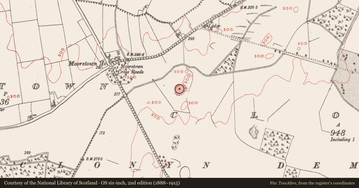 Ordnance Survey six-inch map, 2nd edition (1888–1915) covering the location of Hut site, Clonyn, County Westmeath, with a pin at the register's coordinates