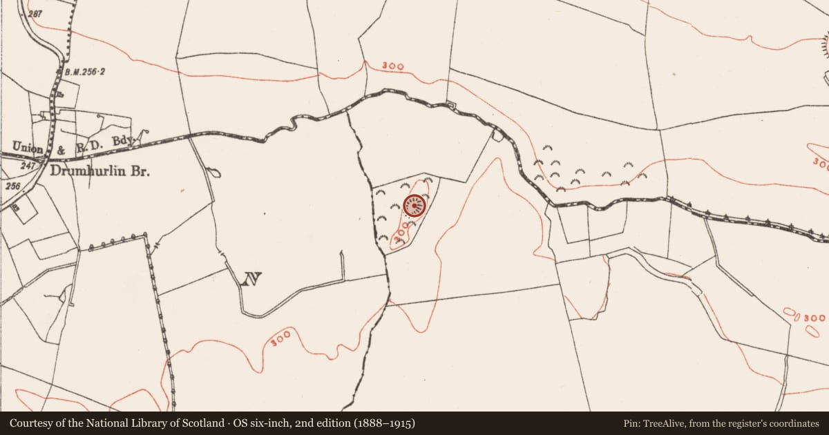 Ordnance Survey six-inch map, 2nd edition (1888–1915) covering the location of Ringfort - rath, Clondalever, County Westmeath, with a pin at the register's coordinates