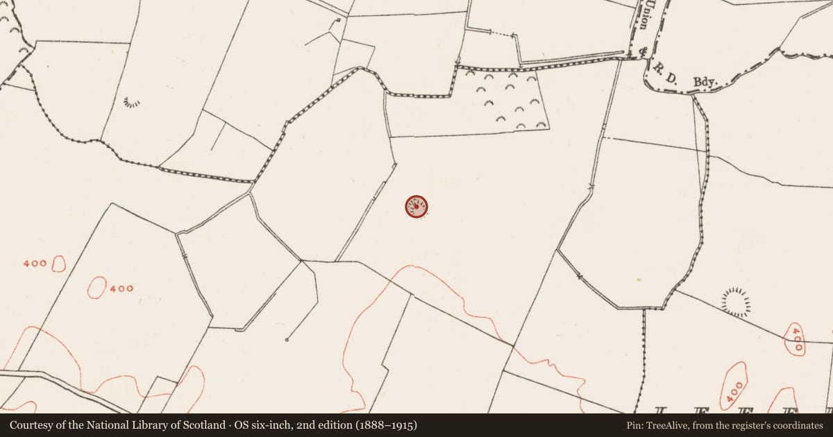 Ordnance Survey six-inch map, 2nd edition (1888–1915) covering the location of Castle - motte, Balreagh, County Westmeath, with a pin at the register's coordinates