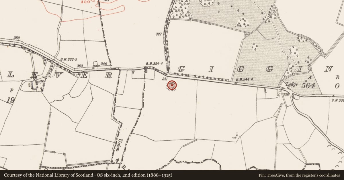 Ordnance Survey six-inch map, 2nd edition (1888–1915) covering the location of Ringfort - rath, Gigginstown, County Westmeath, with a pin at the register's coordinates