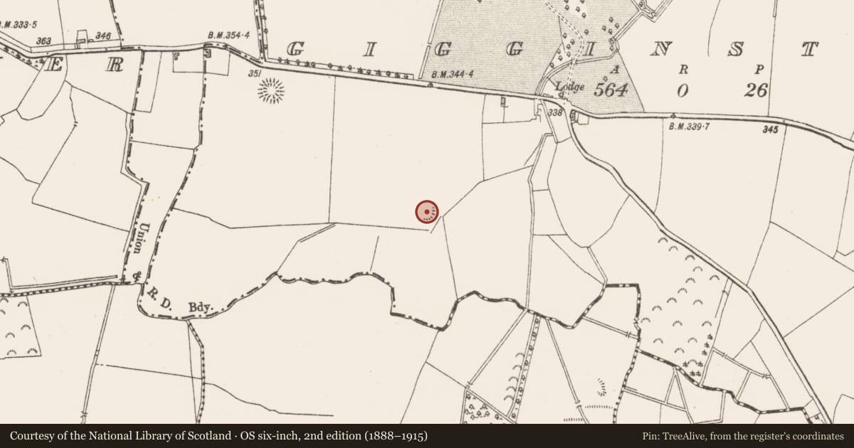 Ordnance Survey six-inch map, 2nd edition (1888–1915) covering the location of Ringfort - rath, Gigginstown, County Westmeath, with a pin at the register's coordinates