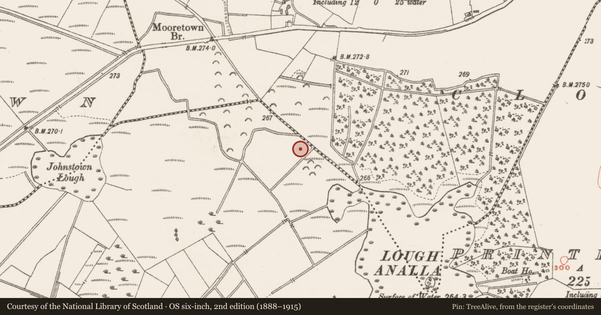 Ordnance Survey six-inch map, 2nd edition (1888–1915) covering the location of Crannog, Johnstown, County Westmeath, with a pin at the register's coordinates