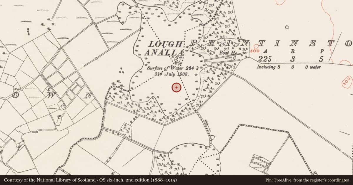 Ordnance Survey six-inch map, 2nd edition (1888–1915) covering the location of Crannog, Dryderstown, County Westmeath, with a pin at the register's coordinates