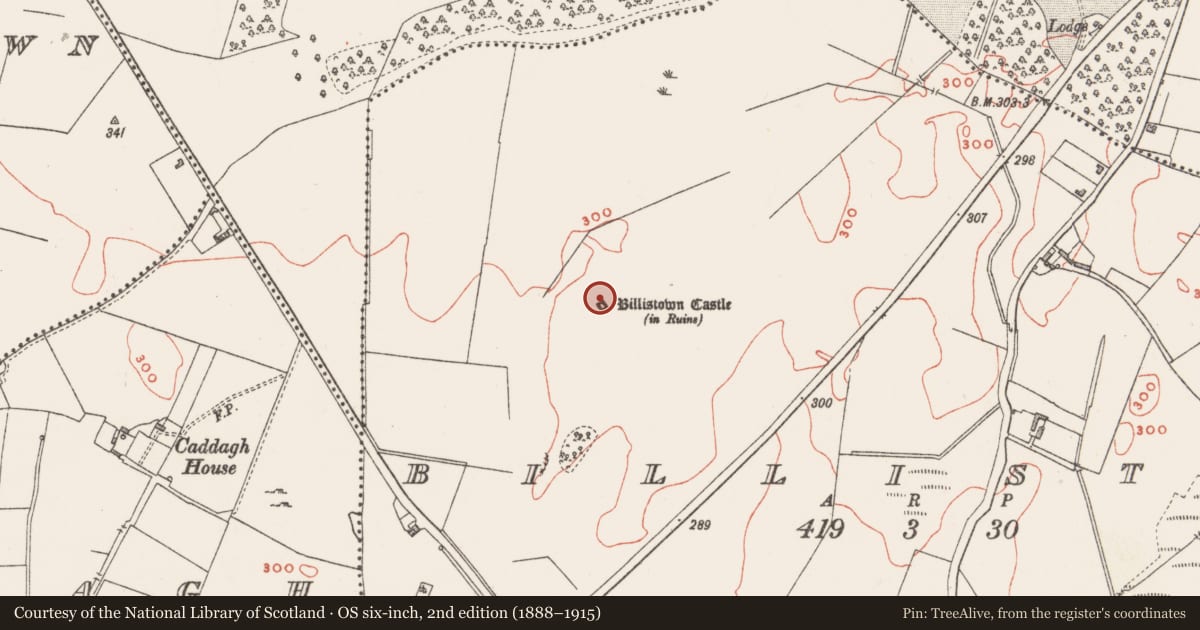 Ordnance Survey six-inch map, 2nd edition (1888–1915) covering the location of Bawn, Billistown, County Westmeath, with a pin at the register's coordinates