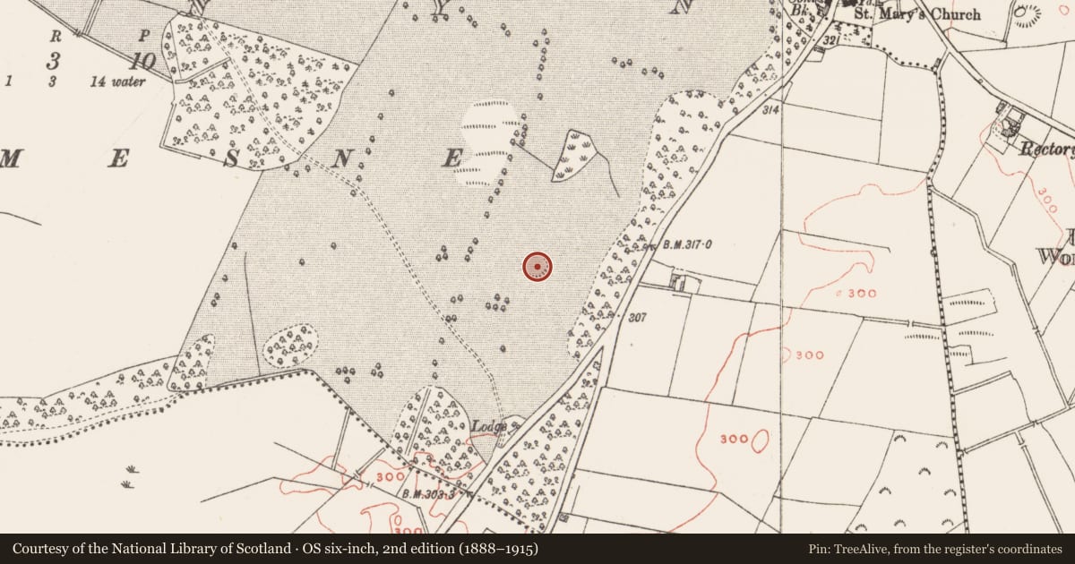 Ordnance Survey six-inch map, 2nd edition (1888–1915) covering the location of Ringfort - rath, Clonyn, County Westmeath, with a pin at the register's coordinates