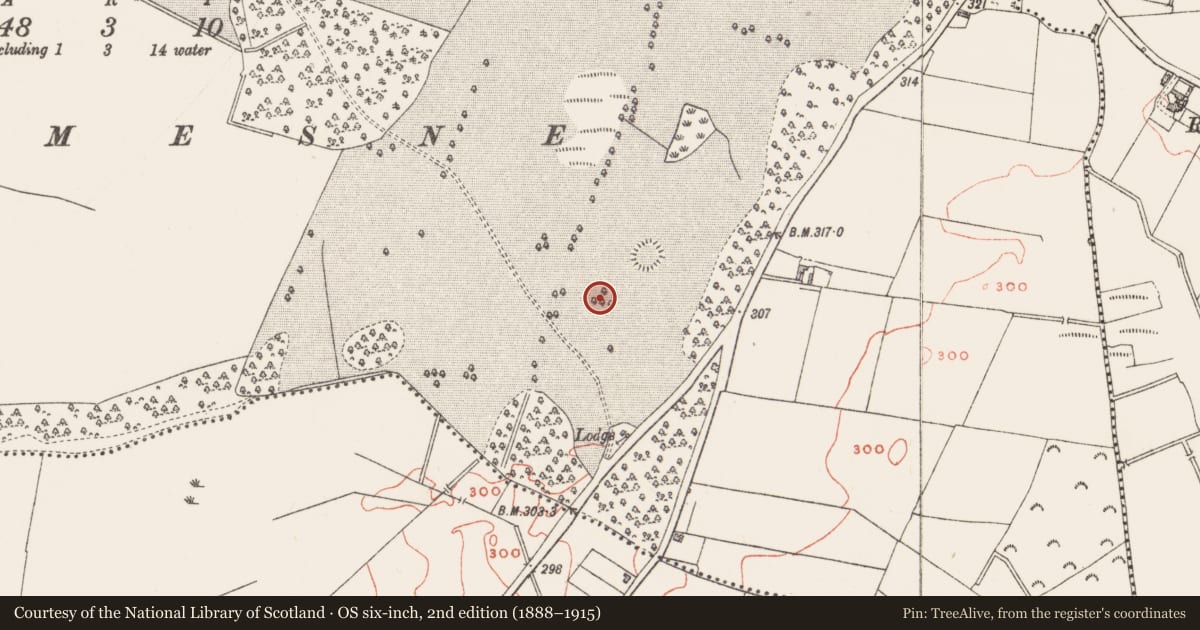 Ordnance Survey six-inch map, 2nd edition (1888–1915) covering the location of Ringfort - rath, Clonyn, County Westmeath, with a pin at the register's coordinates
