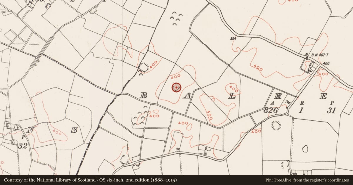 Ordnance Survey six-inch map, 2nd edition (1888–1915) covering the location of Ringfort - rath, Balreagh, County Westmeath, with a pin at the register's coordinates