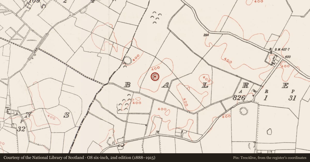 Ordnance Survey six-inch map, 2nd edition (1888–1915) covering the location of Hut site, Balreagh, County Westmeath, with a pin at the register's coordinates