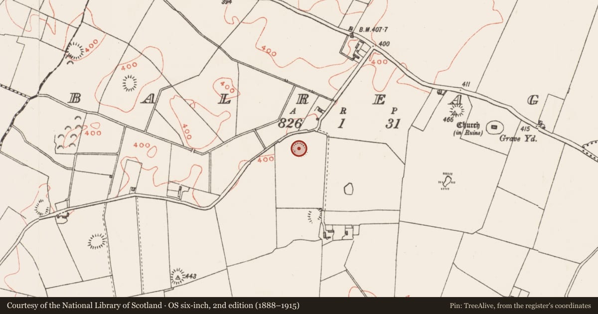 Ordnance Survey six-inch map, 2nd edition (1888–1915) covering the location of Ringfort - rath, Balreagh, County Westmeath, with a pin at the register's coordinates