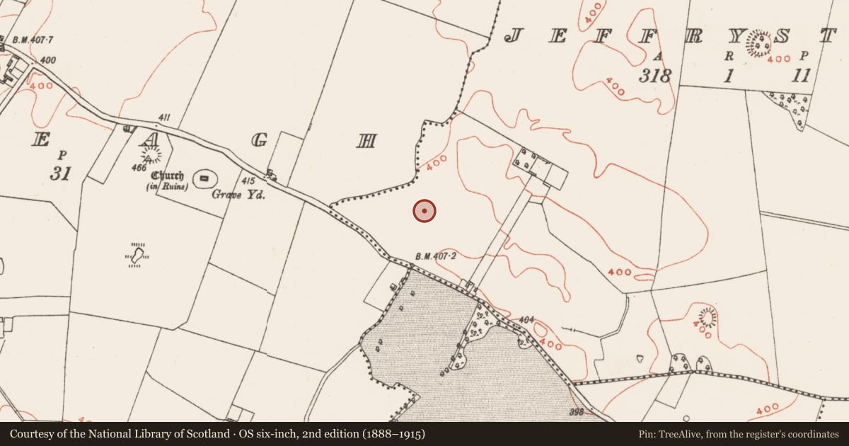 Ordnance Survey six-inch map, 2nd edition (1888–1915) covering the location of Ringfort - unclassified, Jeffrystown, County Westmeath, with a pin at the register's coordinates
