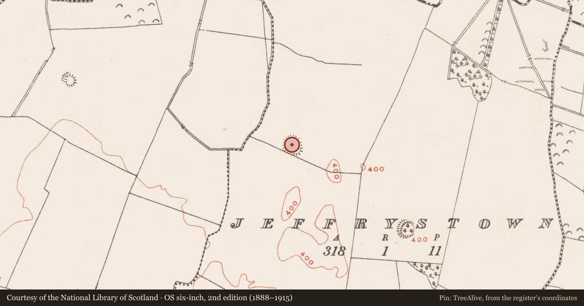 Ordnance Survey six-inch map, 2nd edition (1888–1915) covering the location of Ringfort - rath, Jeffrystown, County Westmeath, with a pin at the register's coordinates