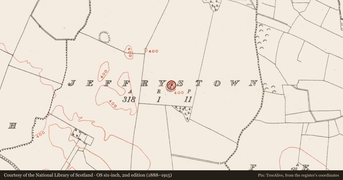 Ordnance Survey six-inch map, 2nd edition (1888–1915) covering the location of Ringfort - unclassified, Jeffrystown, County Westmeath, with a pin at the register's coordinates