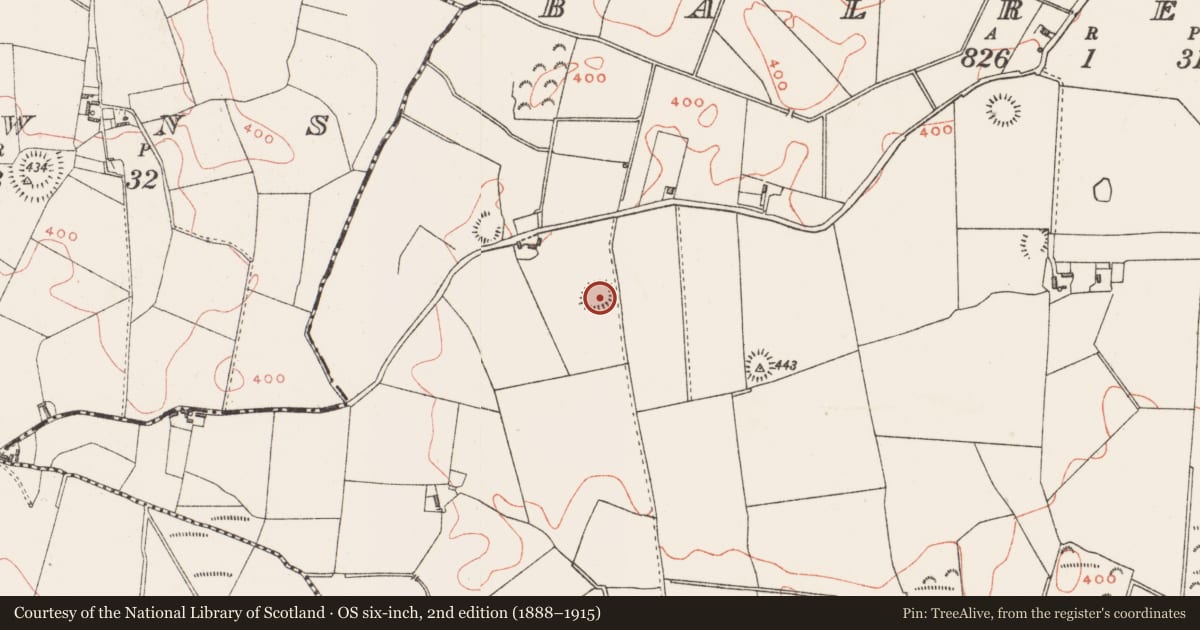Ordnance Survey six-inch map, 2nd edition (1888–1915) covering the location of Ringfort - rath, Balreagh, County Westmeath, with a pin at the register's coordinates