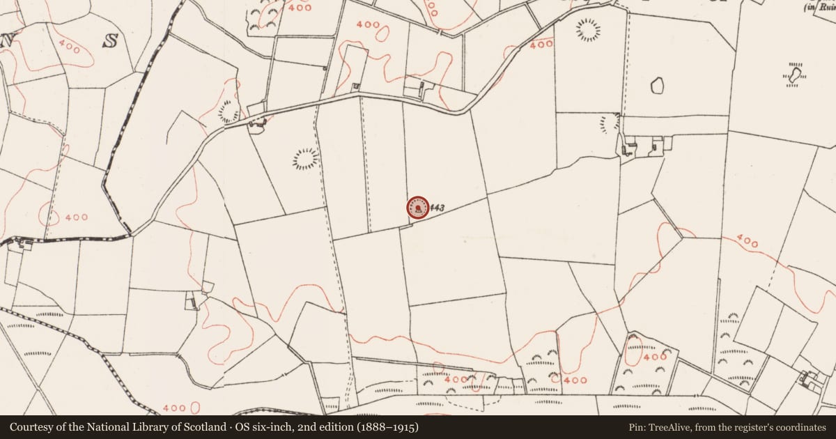 Ordnance Survey six-inch map, 2nd edition (1888–1915) covering the location of Ringfort - rath, Balreagh, County Westmeath, with a pin at the register's coordinates