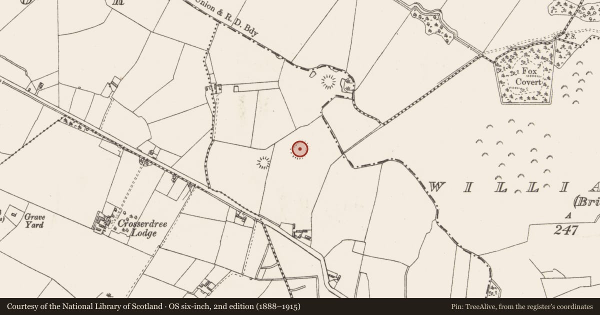 Ordnance Survey six-inch map, 2nd edition (1888–1915) covering the location of Ringfort - rath, Reynella, County Westmeath, with a pin at the register's coordinates