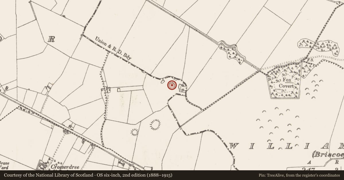 Ordnance Survey six-inch map, 2nd edition (1888–1915) covering the location of Ringfort - rath, Reynella, County Westmeath, with a pin at the register's coordinates
