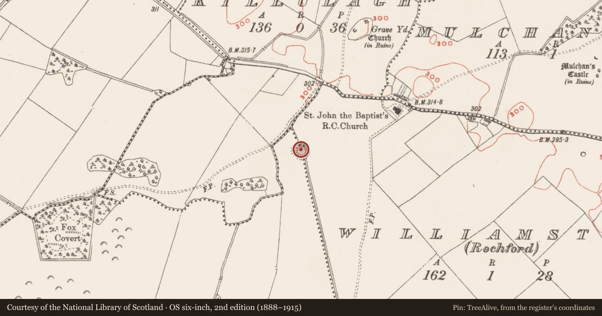 Ordnance Survey six-inch map, 2nd edition (1888–1915) covering the location of Castle - ringwork, Williamstown (Briscoe), Williamstown (Rochford), County Westmeath, with a pin at the register's coordinates