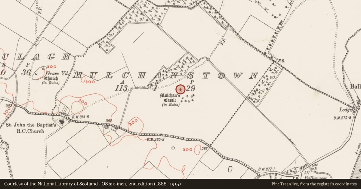 Ordnance Survey six-inch map, 2nd edition (1888–1915) covering the location of Castle - tower house, Mulchanstown, County Westmeath, with a pin at the register's coordinates
